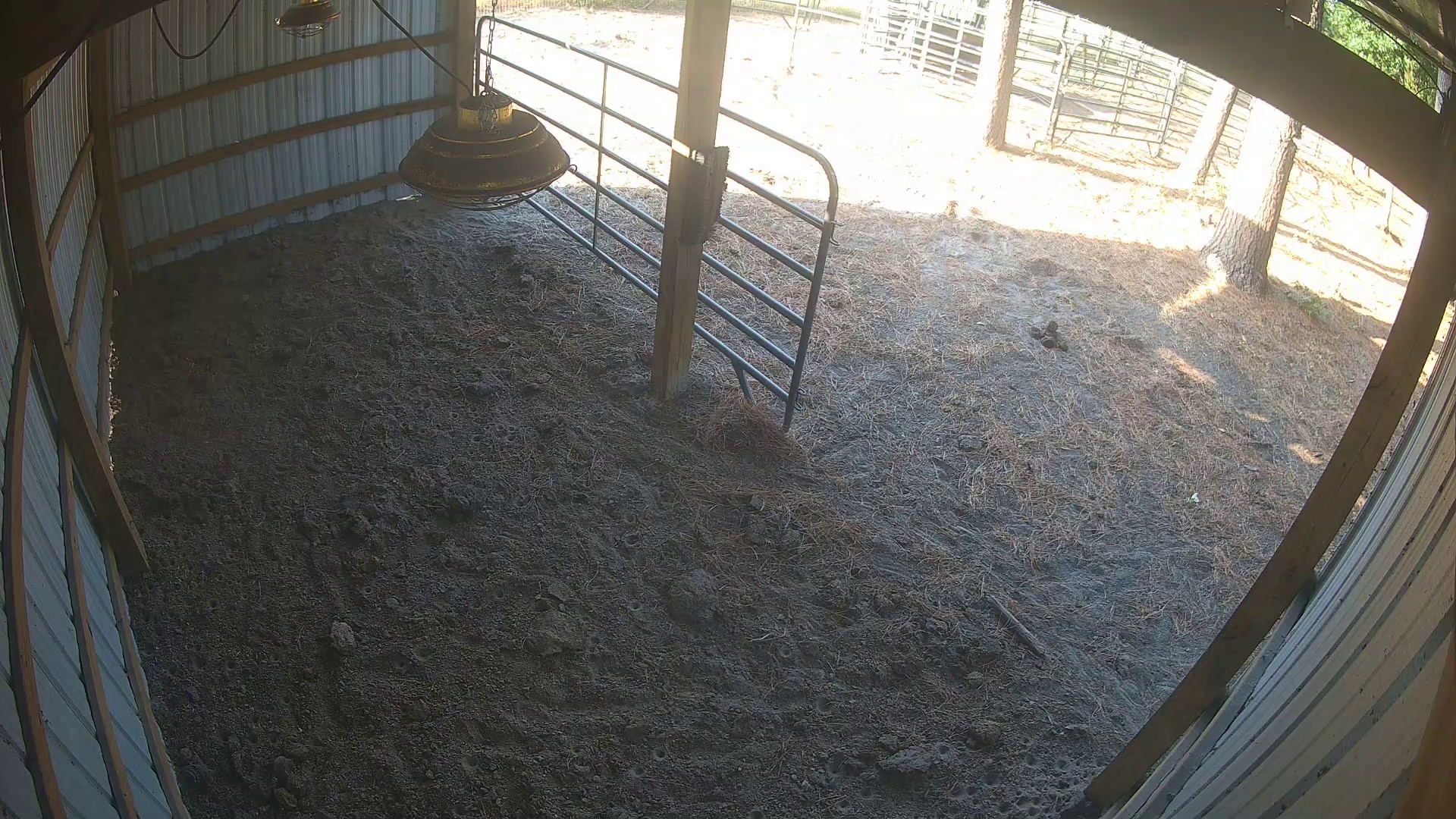Barn's zero-animal zone at 6:26 PM
