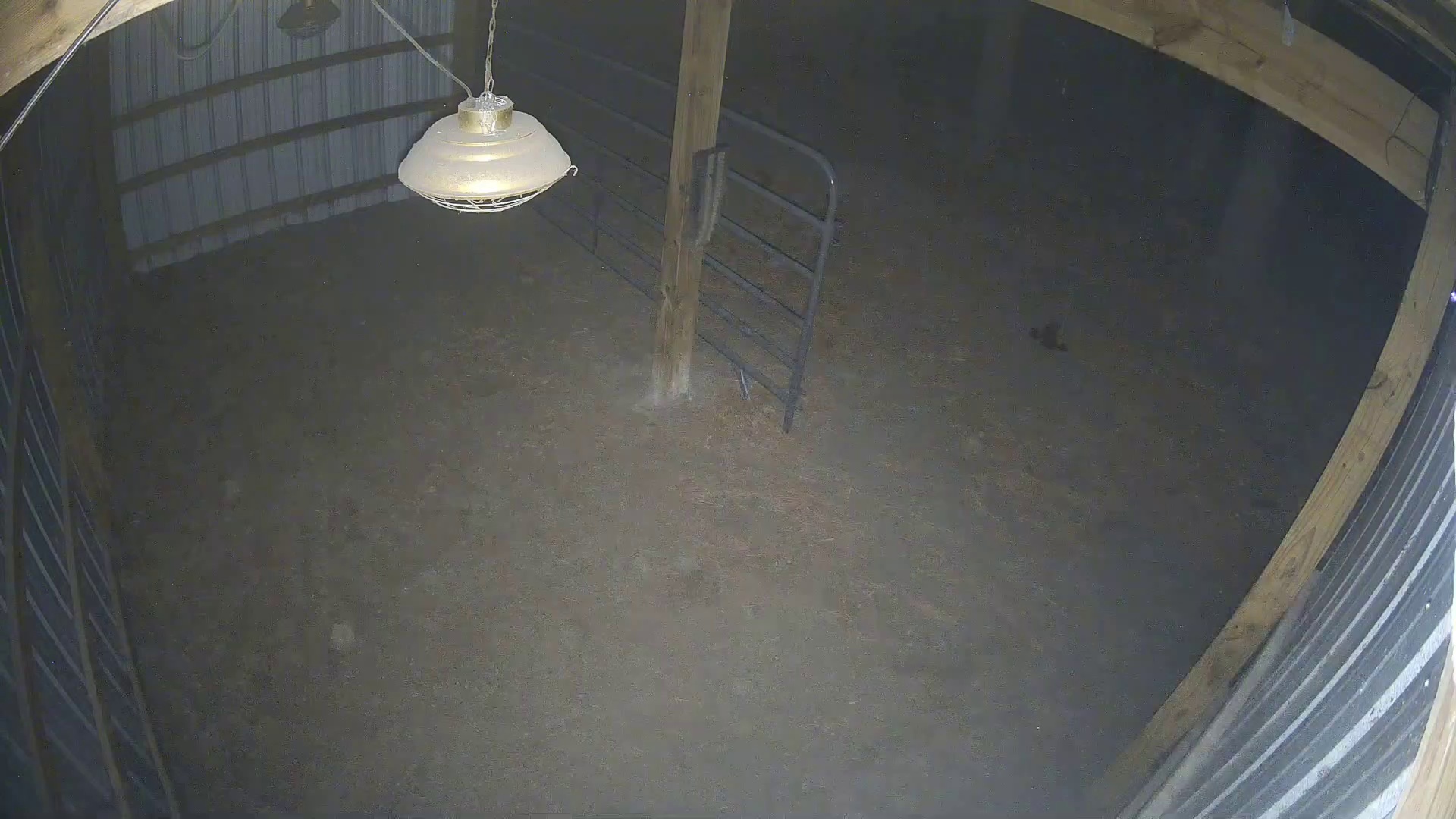 Barn's 8:42 PM Animal Drought