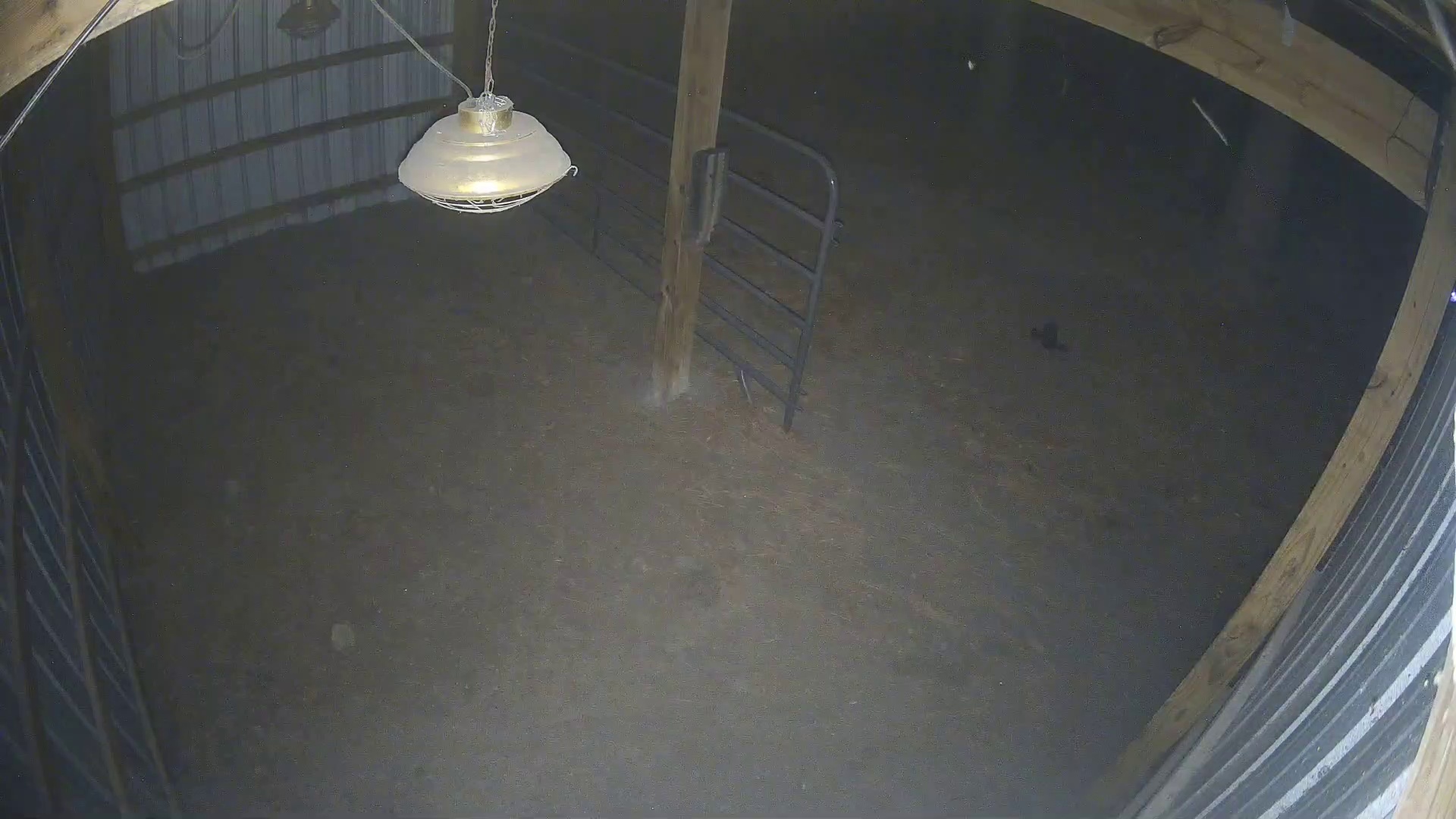 Barn's empty, lights on