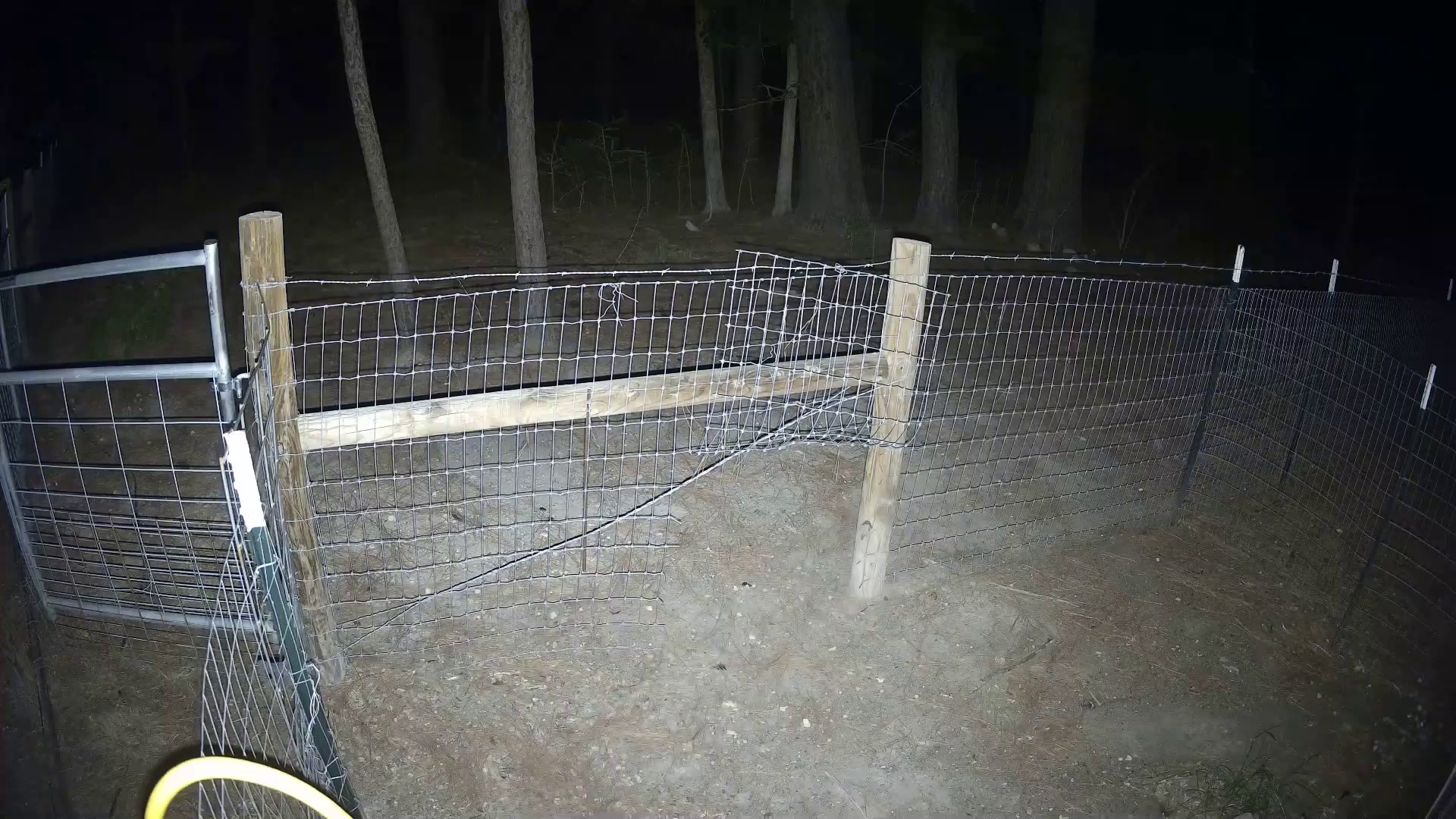 Night fence, nobody home