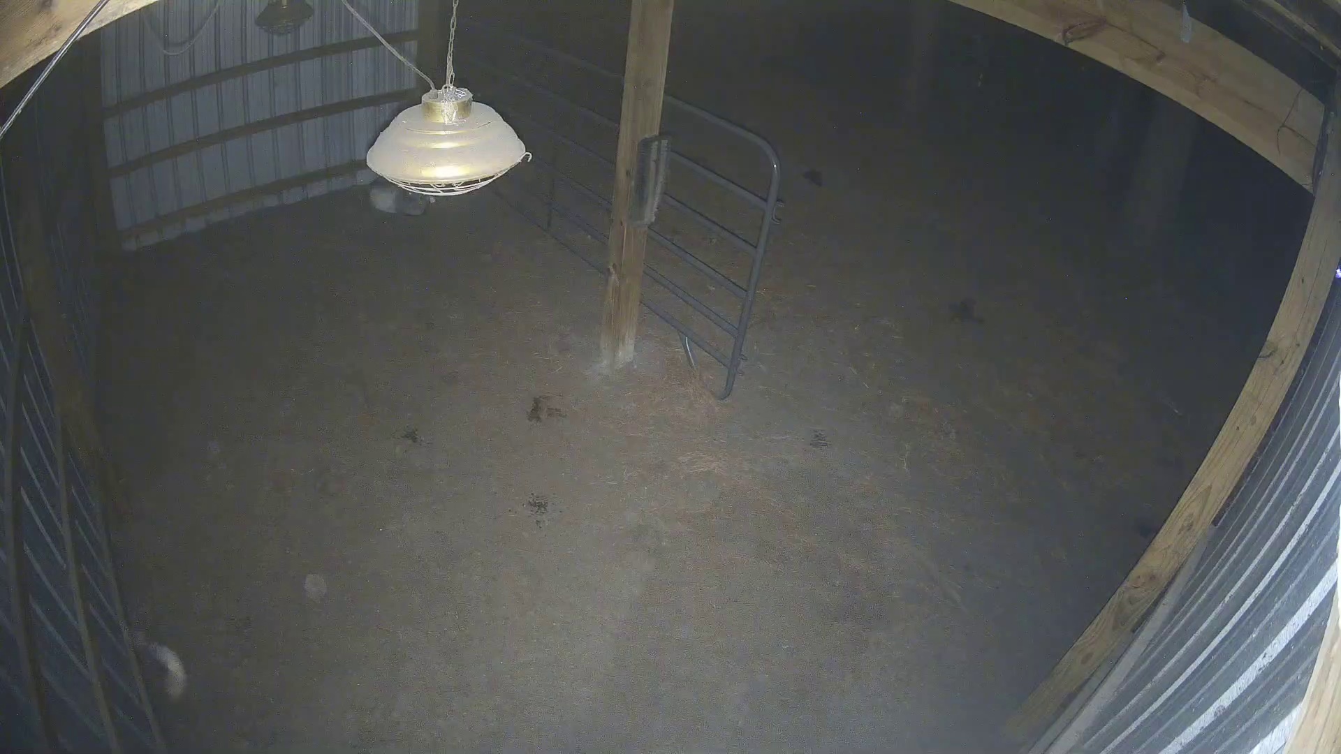 Empty barn, nobody home