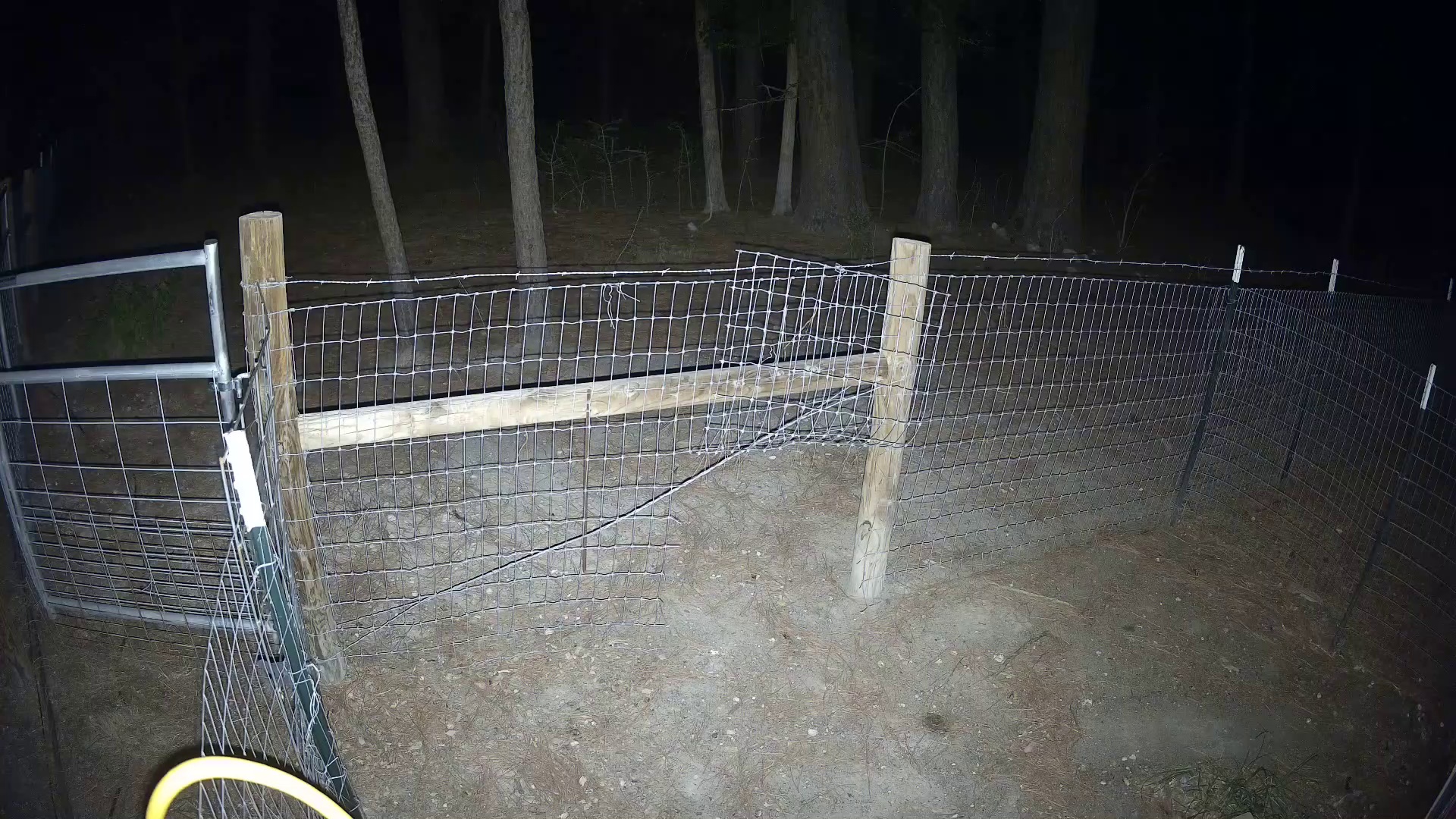 Night pasture gone quiet