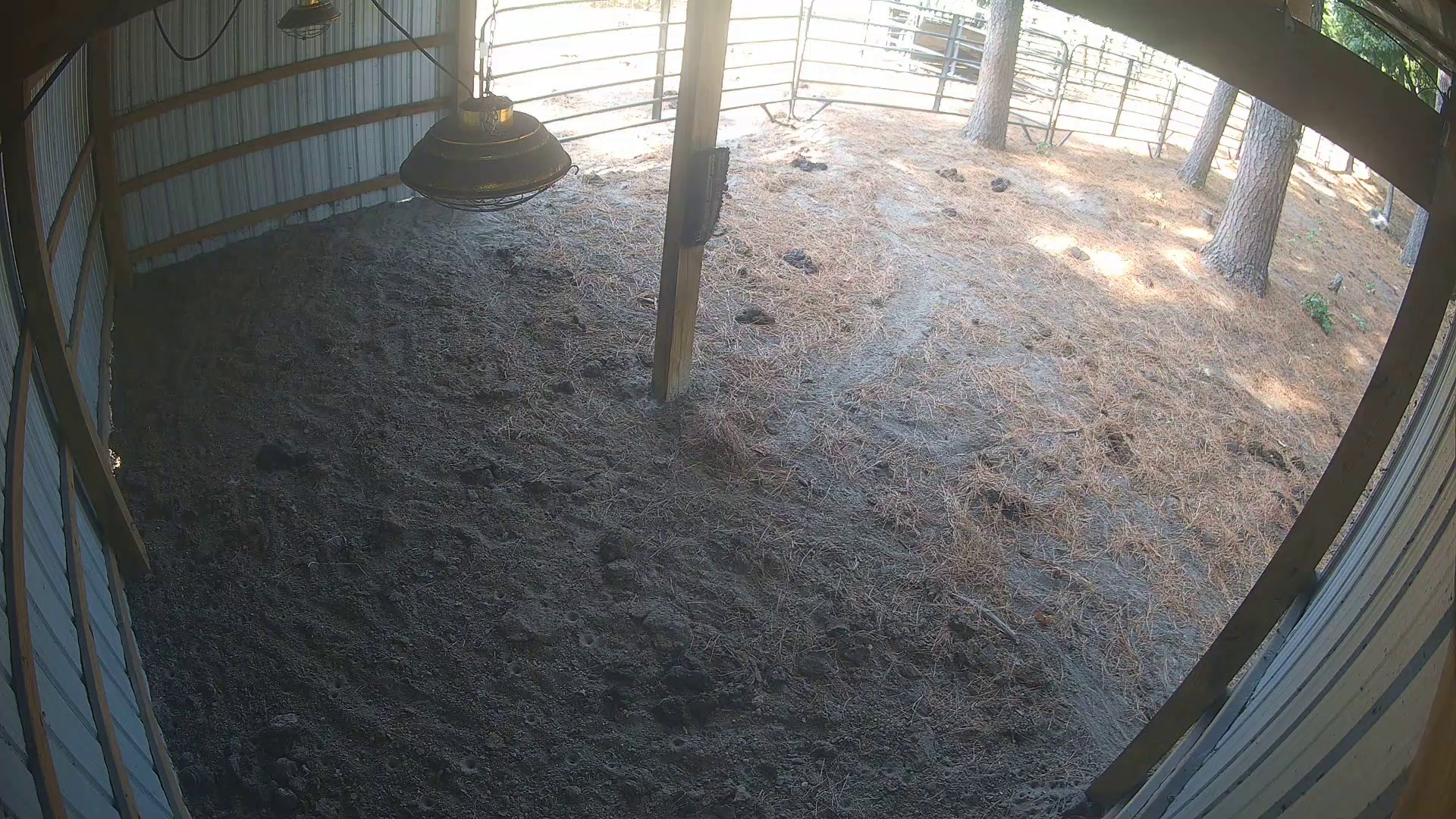 Barn's empty, nobody home
