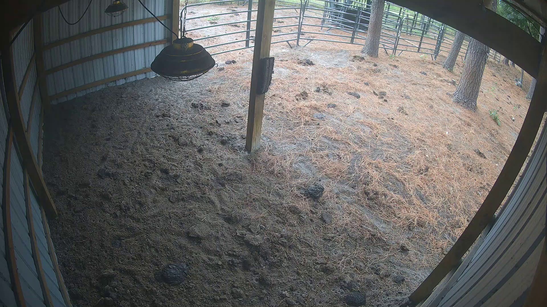 Quiet barn, nobody home
