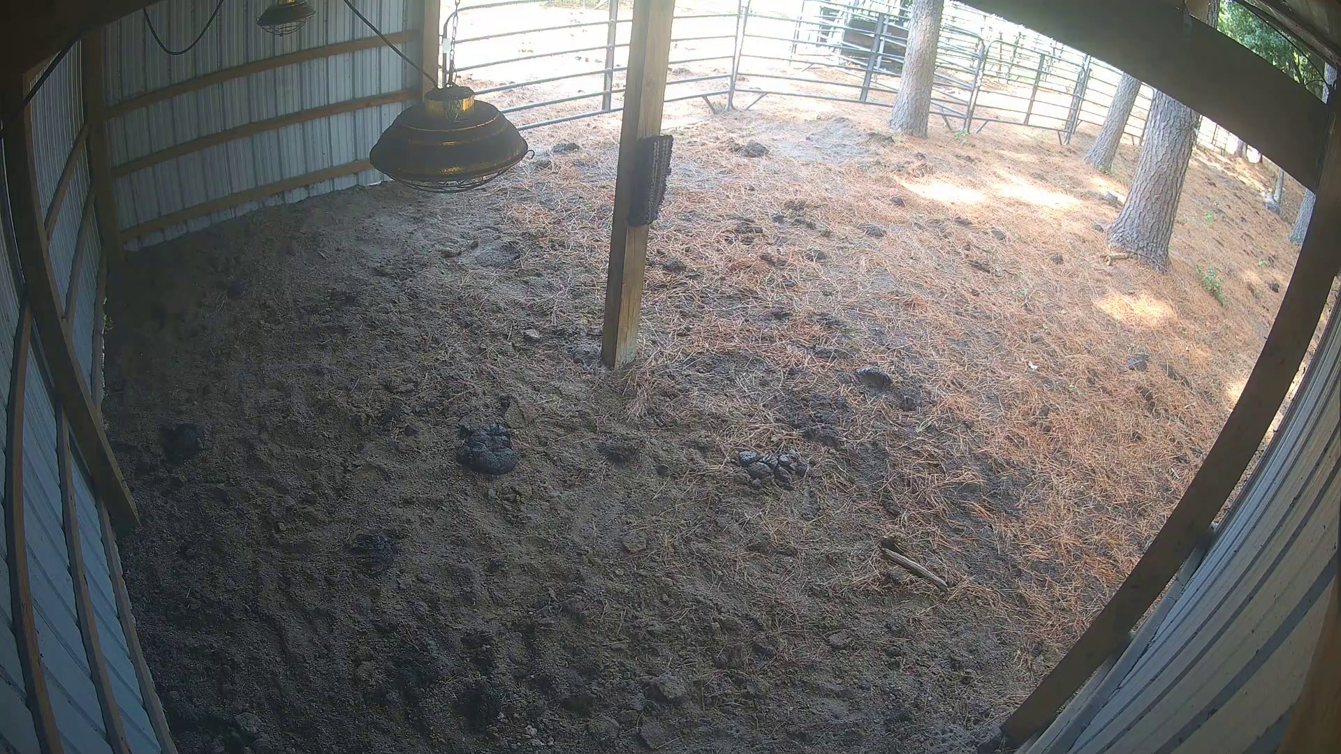 Barn's empty, nobody home