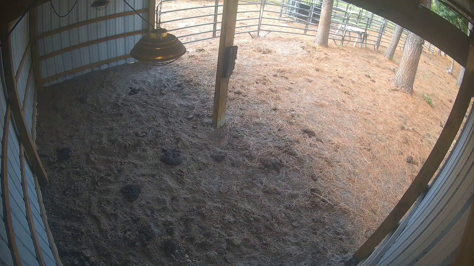 Empty barn, nobody home
