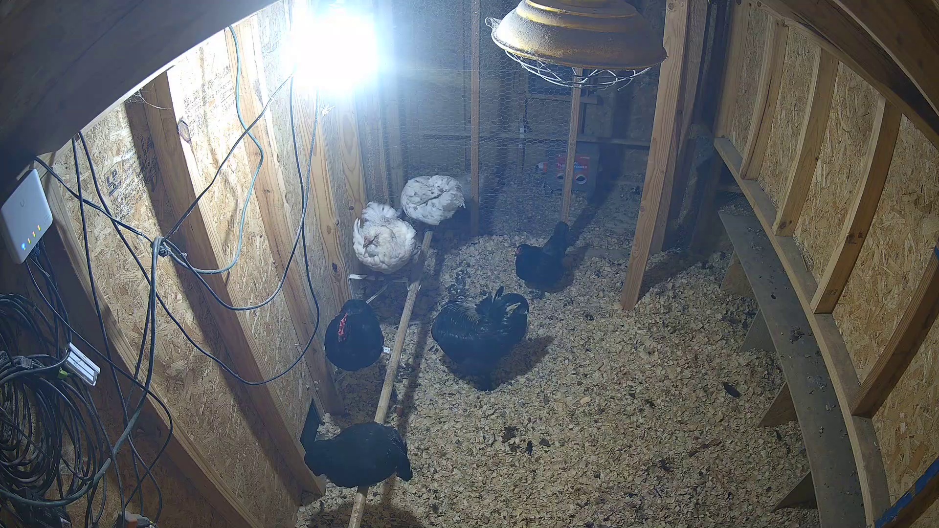 Coop crew up before dawn