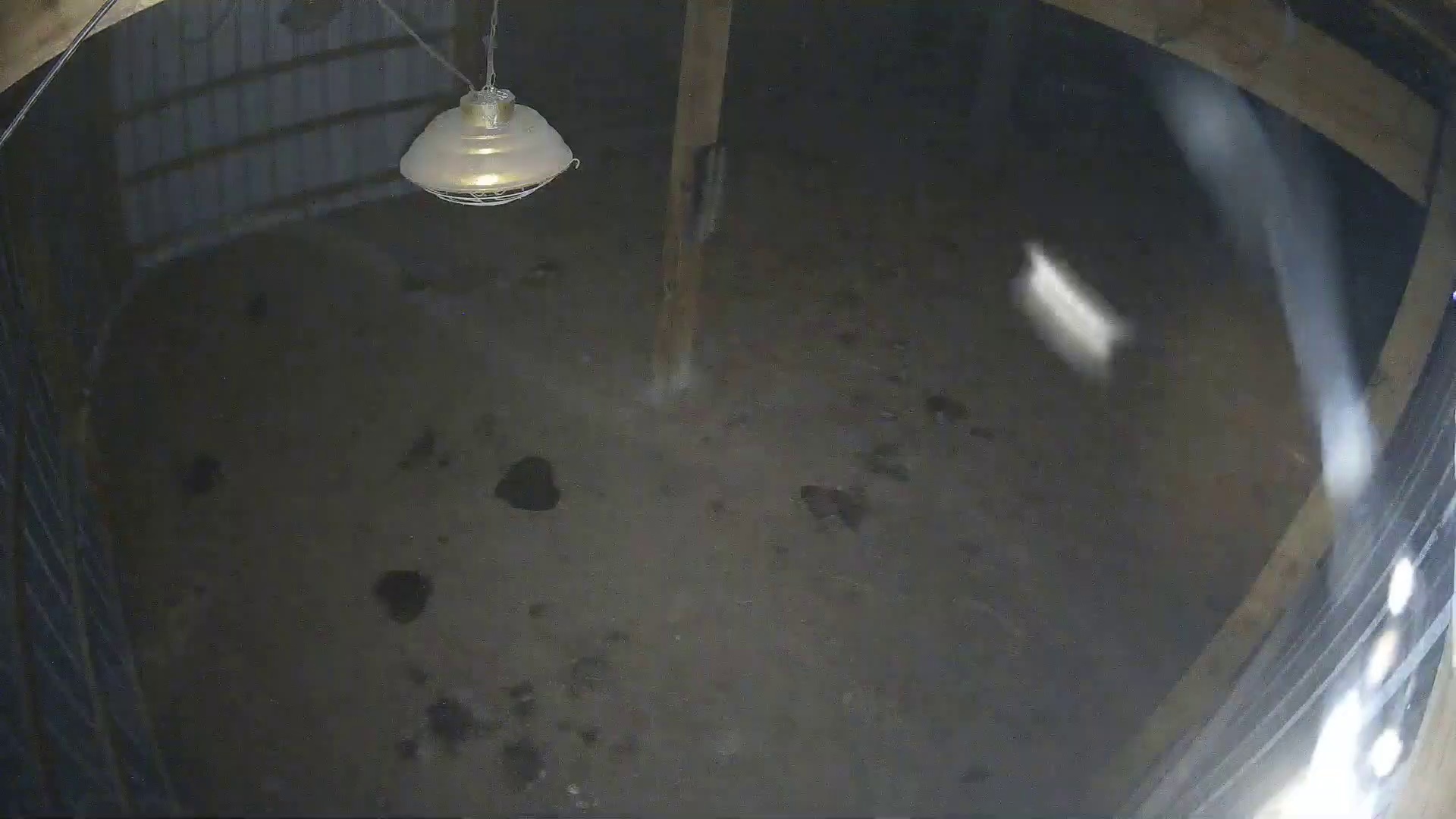 Barn's empty, nobody home