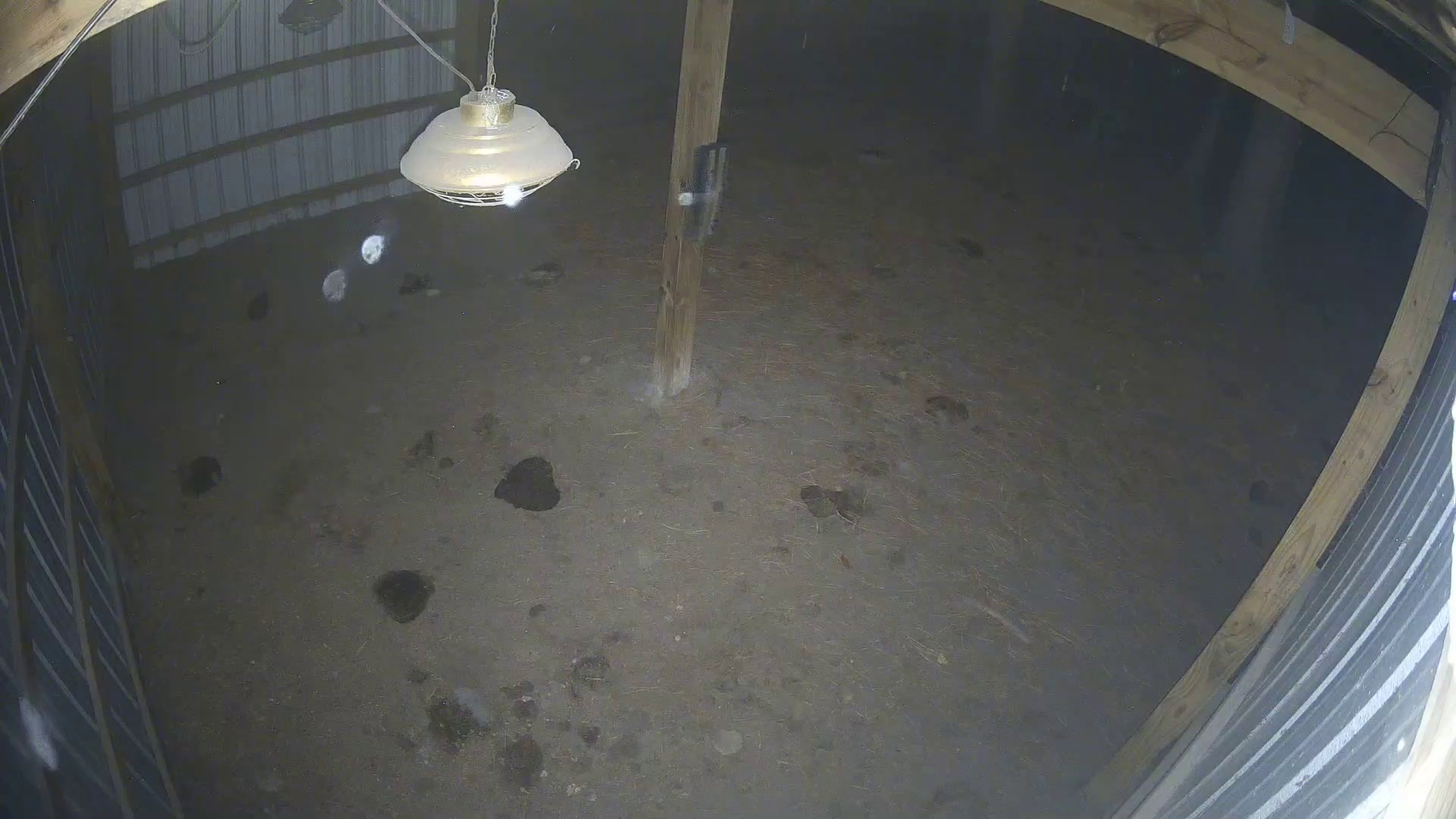 Empty barn, nobody punched in