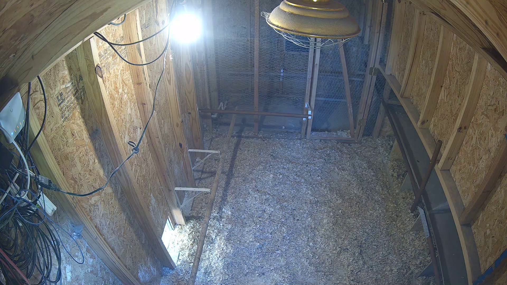 Quiet coop, nobody home