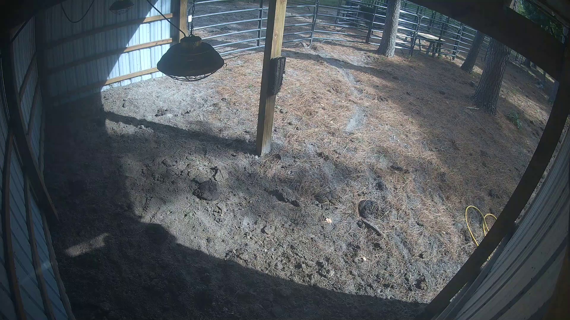 Barn sitting empty, y'all