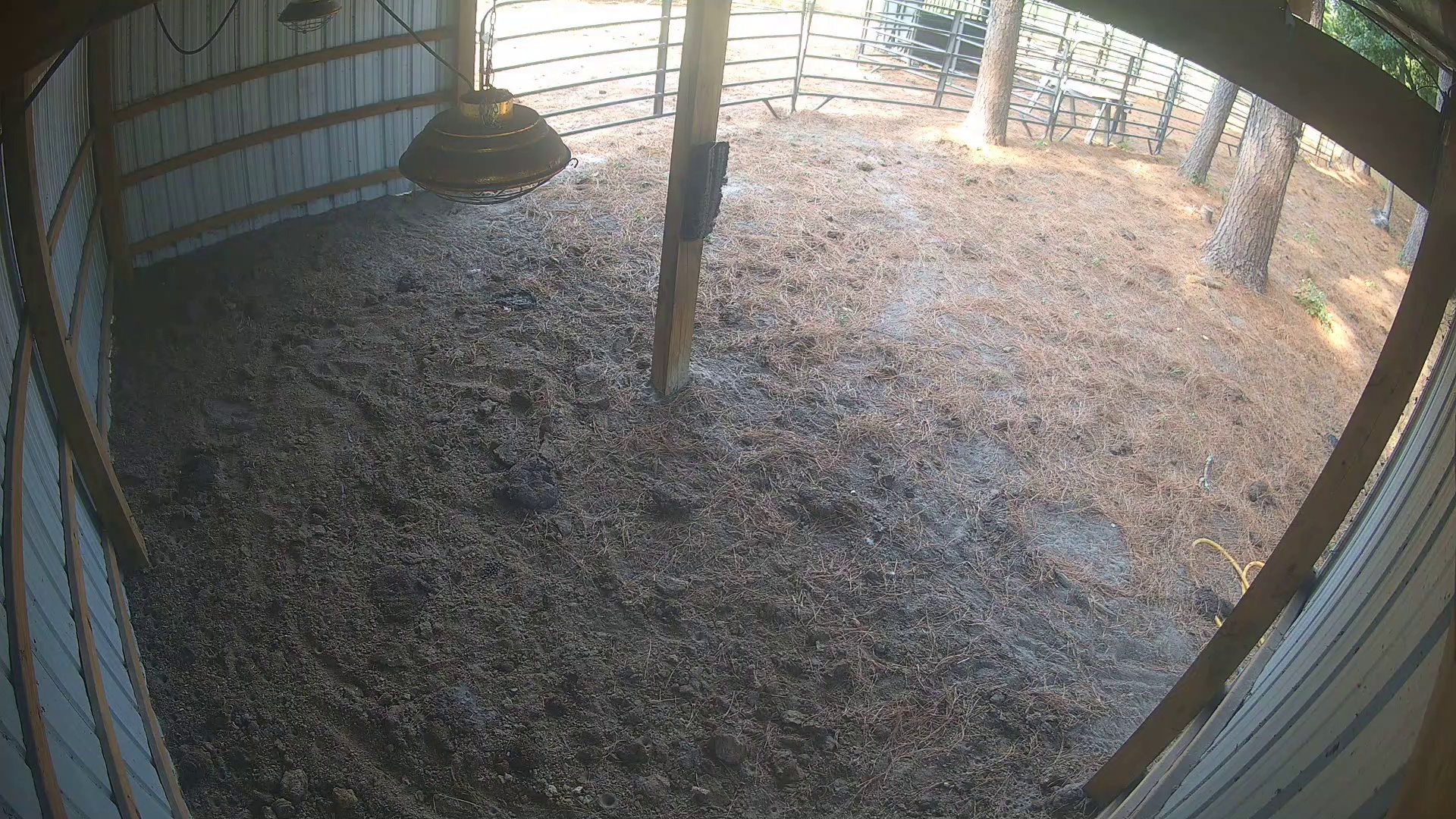 Empty barn, nobody home