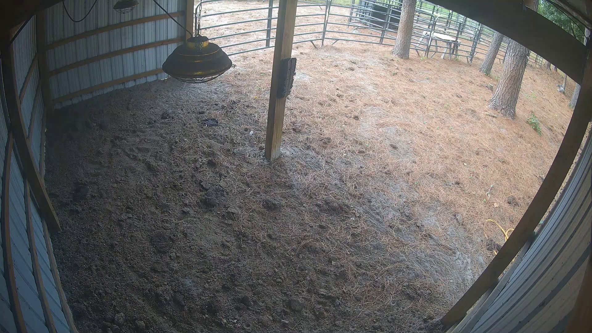 Empty barn, nobody home