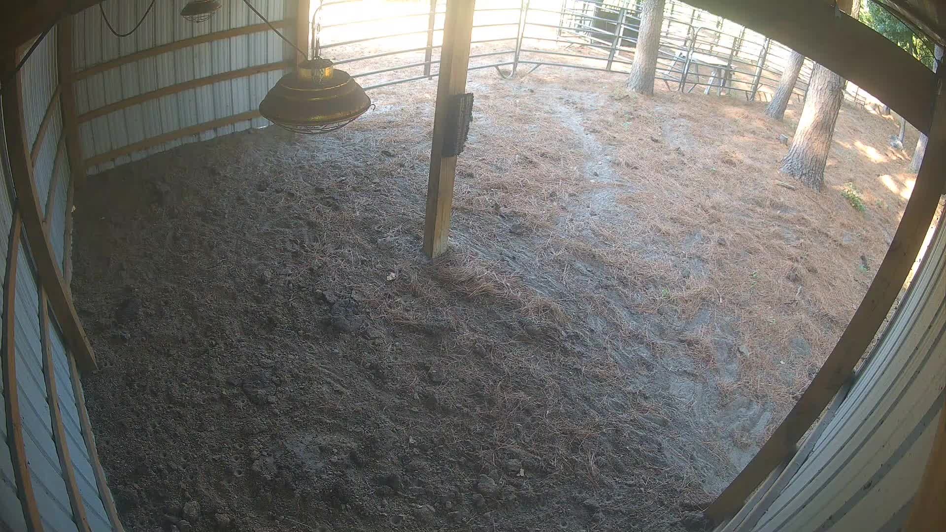 Barn empty, nobody home