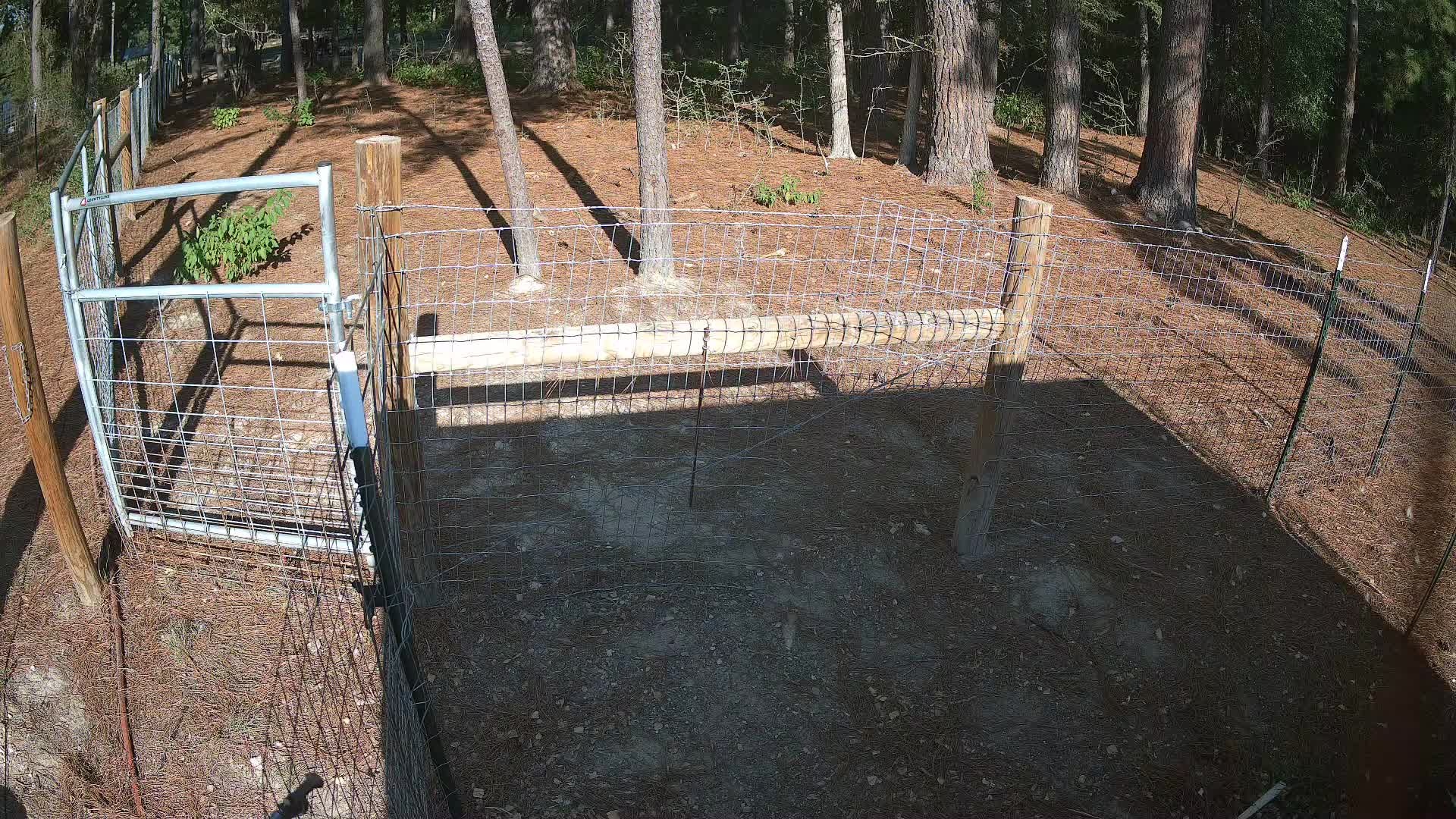 Quiet fence, nobody home
