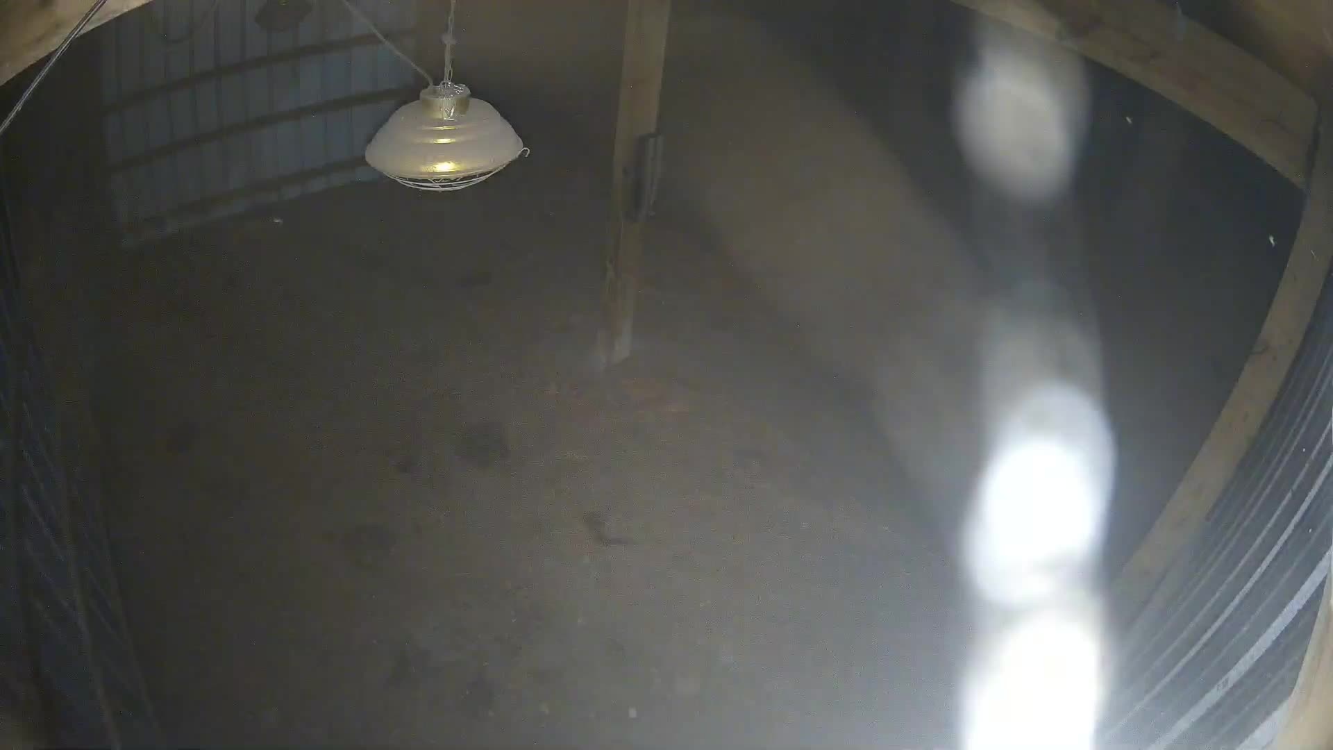 Empty barn, nobody home