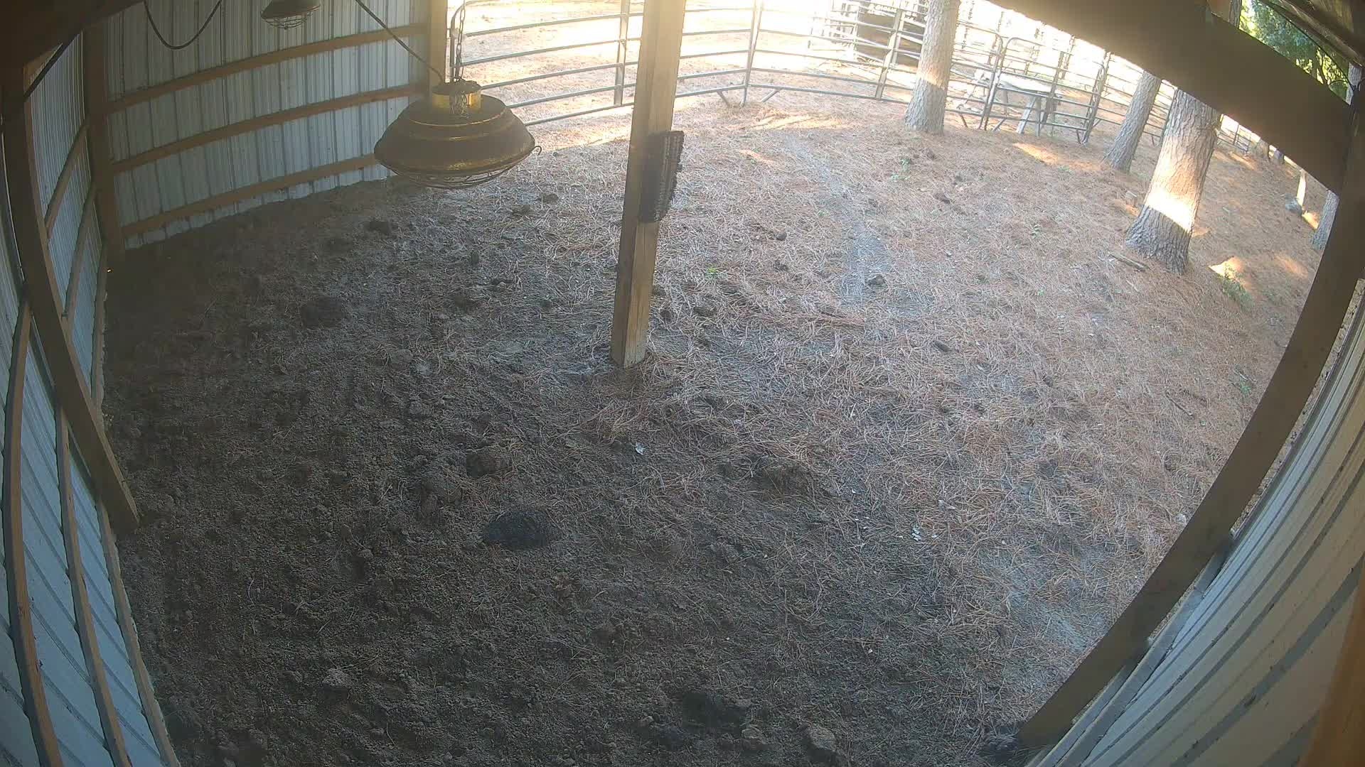 Empty dirt floor inside barn