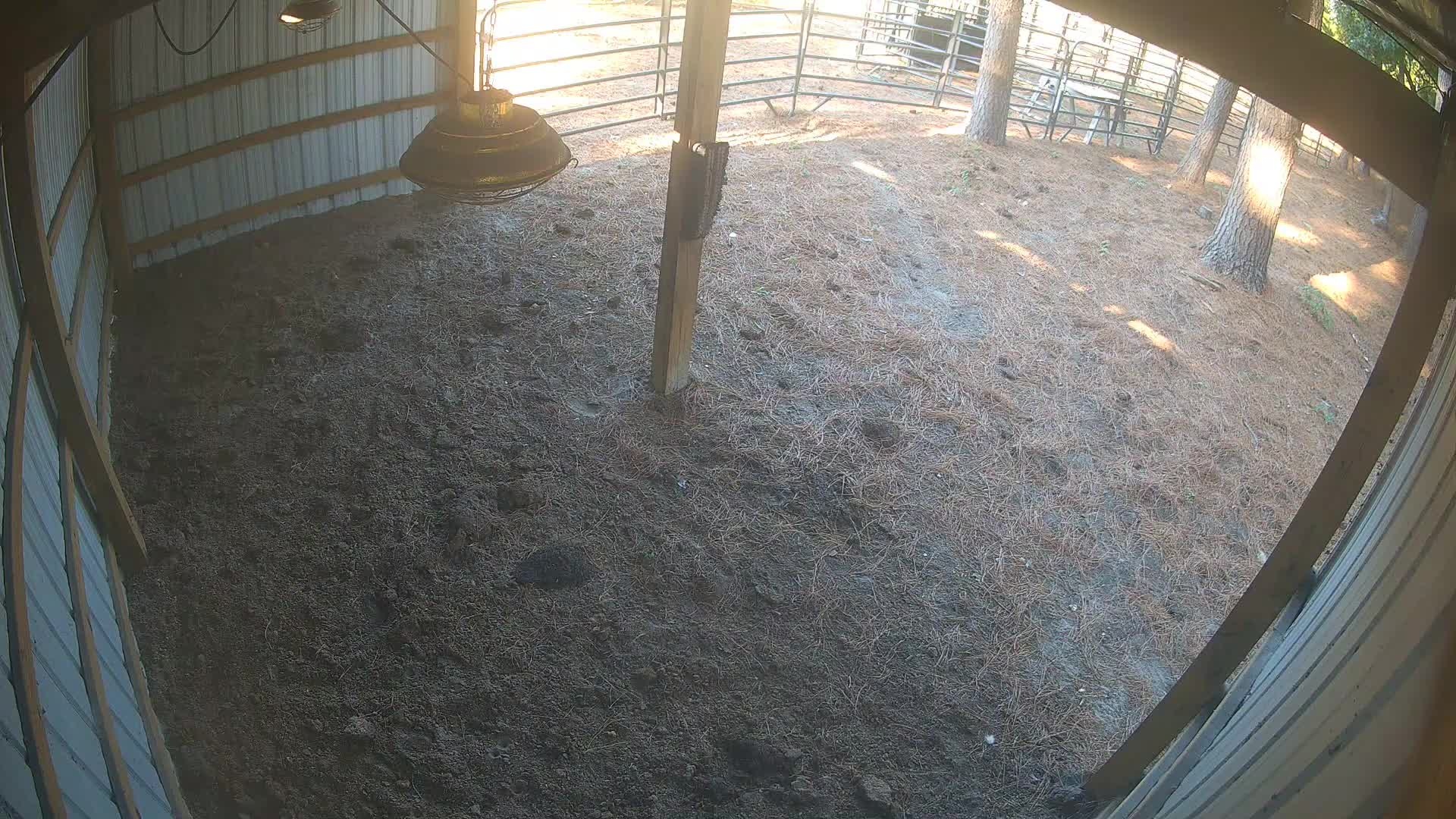 Empty barn with hanging lamp