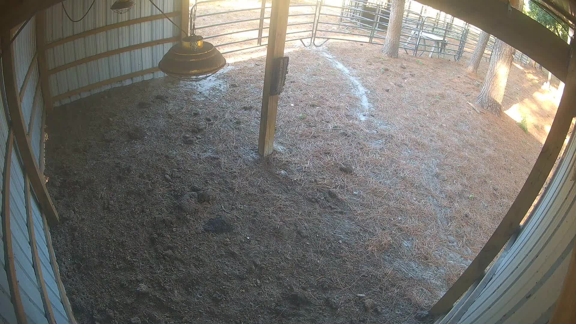 Empty dirt floor in barn