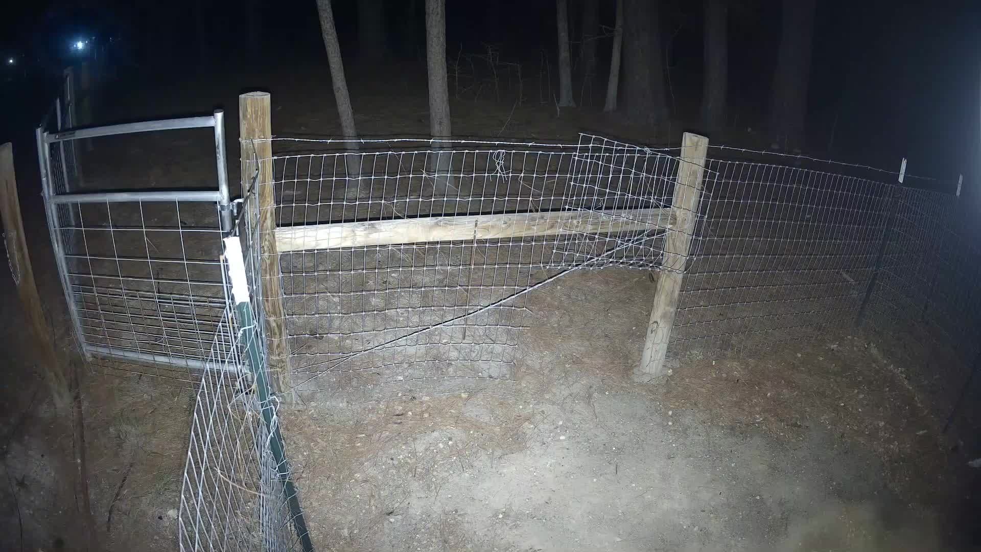 Nighttime empty Pasture 2b