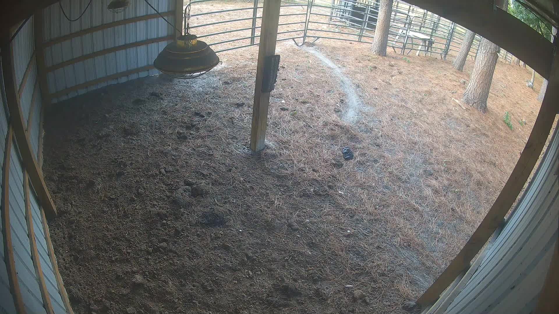 Empty barn with hanging lamp