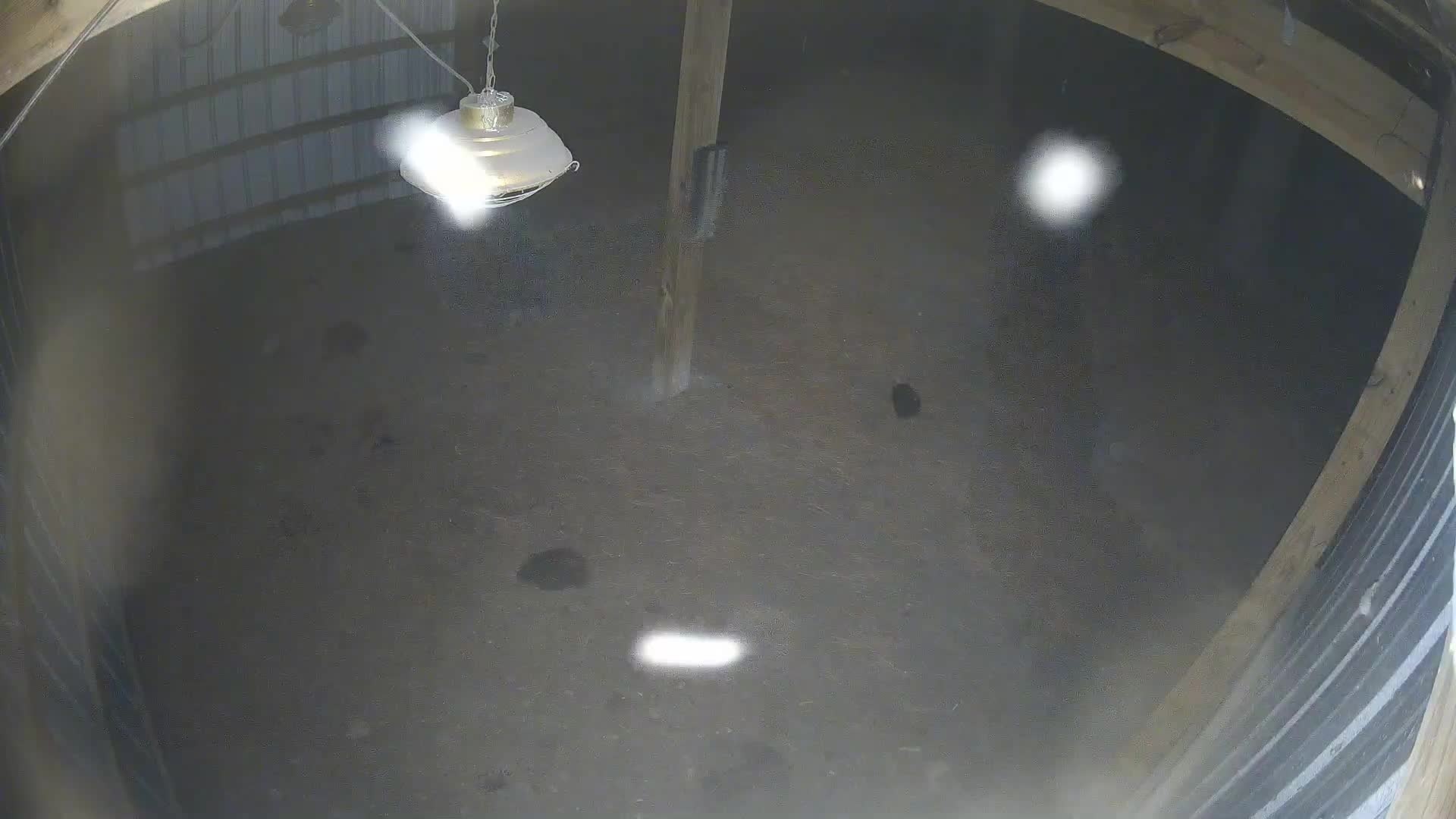 Empty barn floor at night
