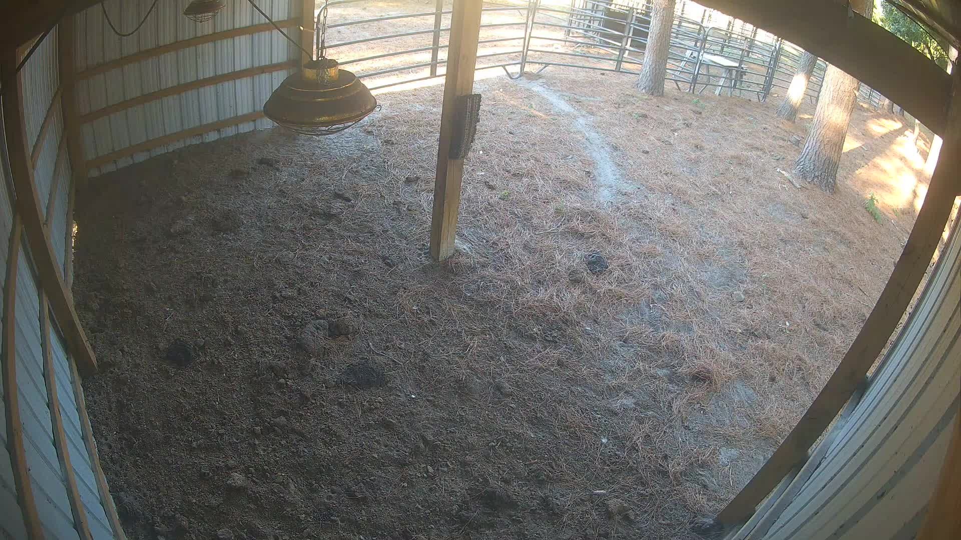 Empty dirt floor in barn