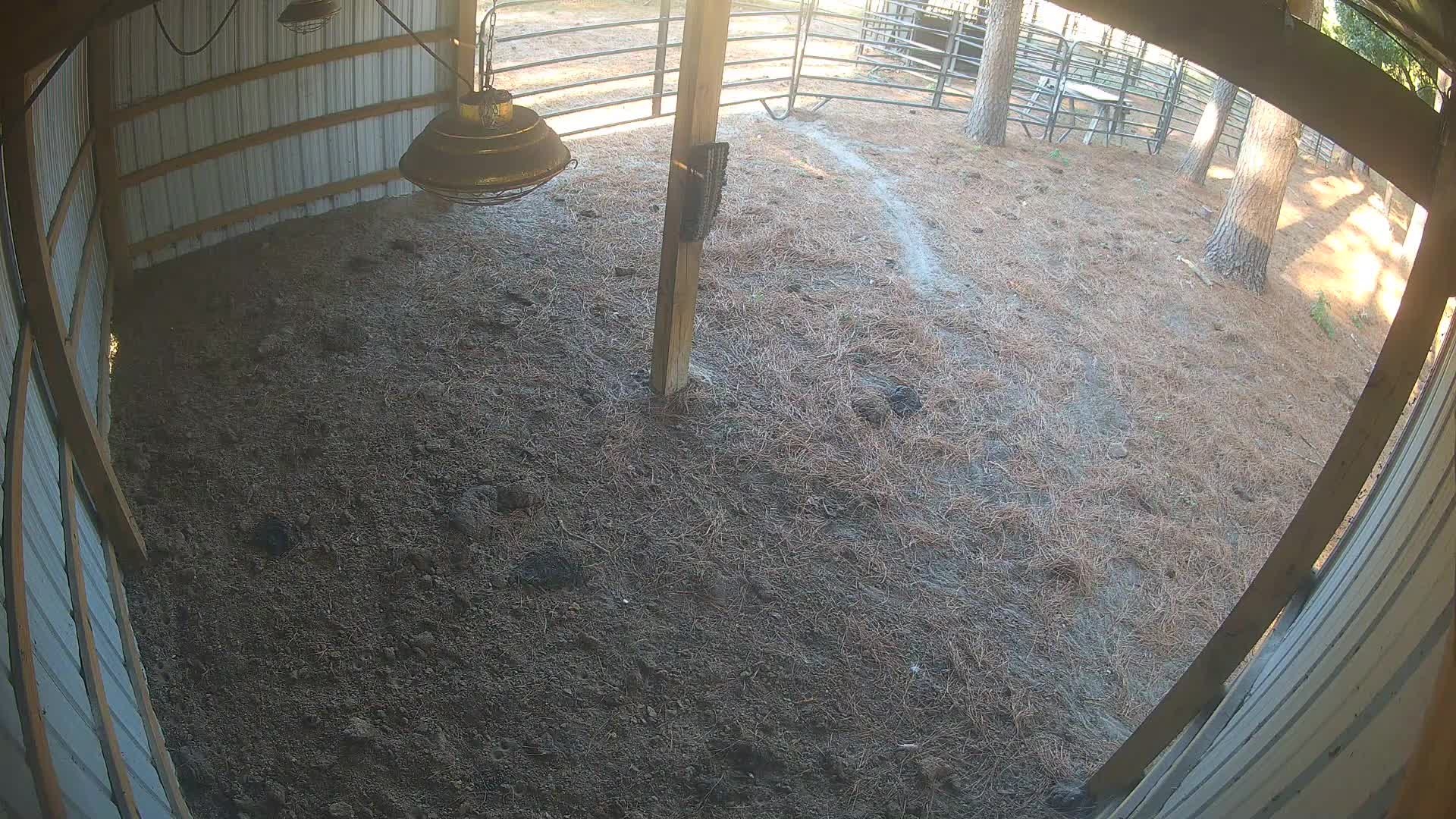 Empty dirt floor under the lamp