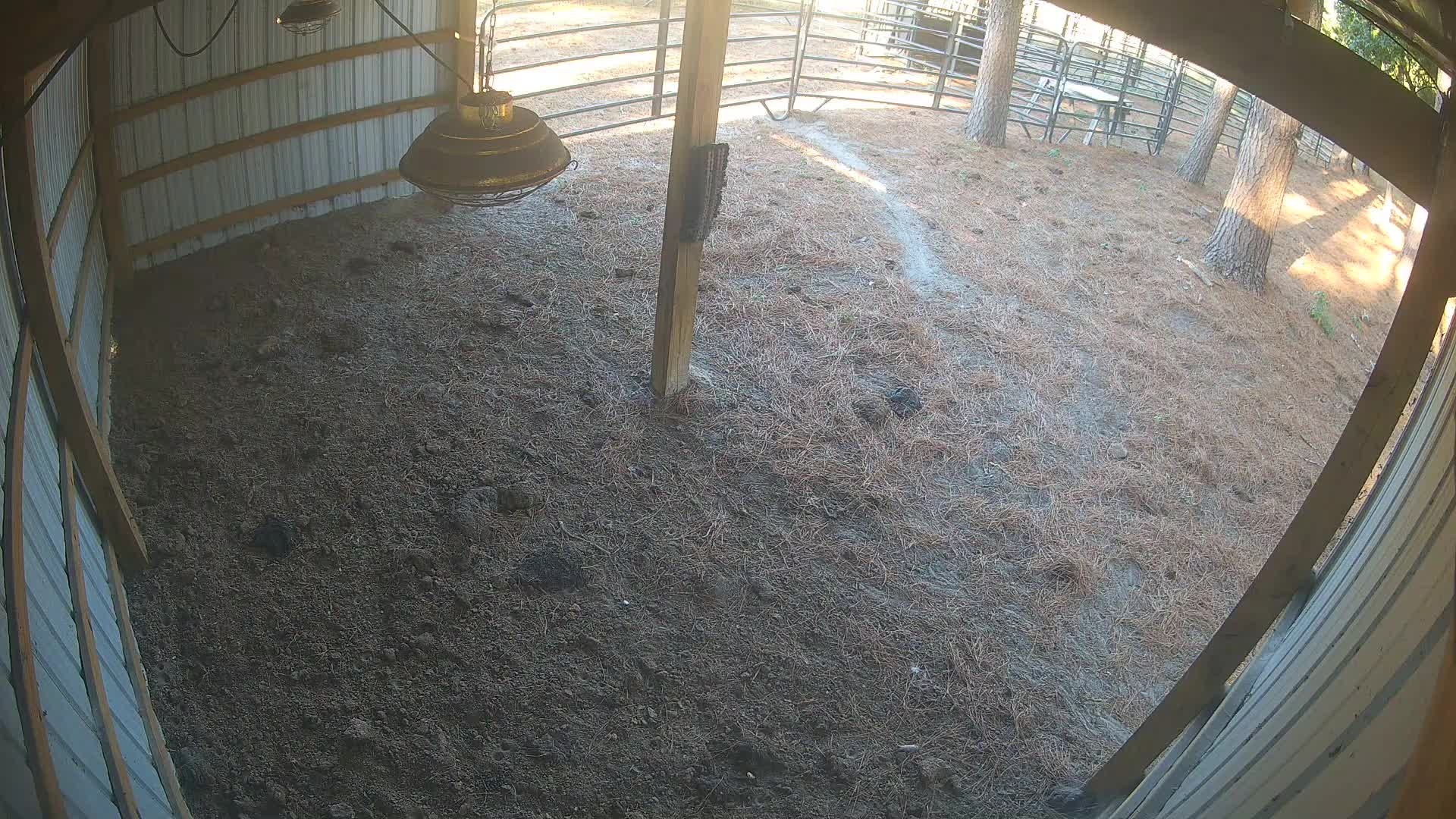 Vacant barn under the lamp