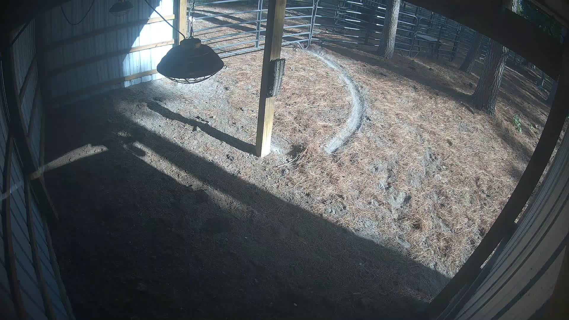 Empty barn under hanging lamp