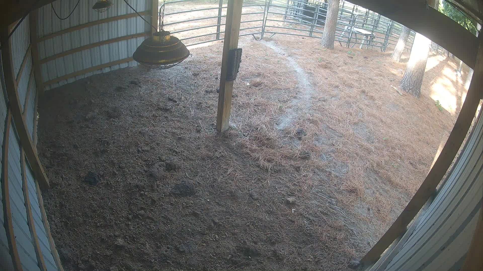 Empty barn with hanging lamp