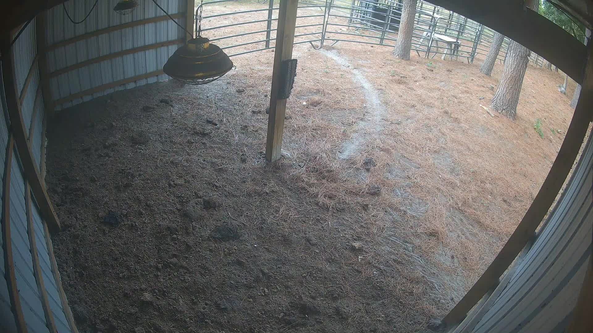 Empty dirt floor in barn