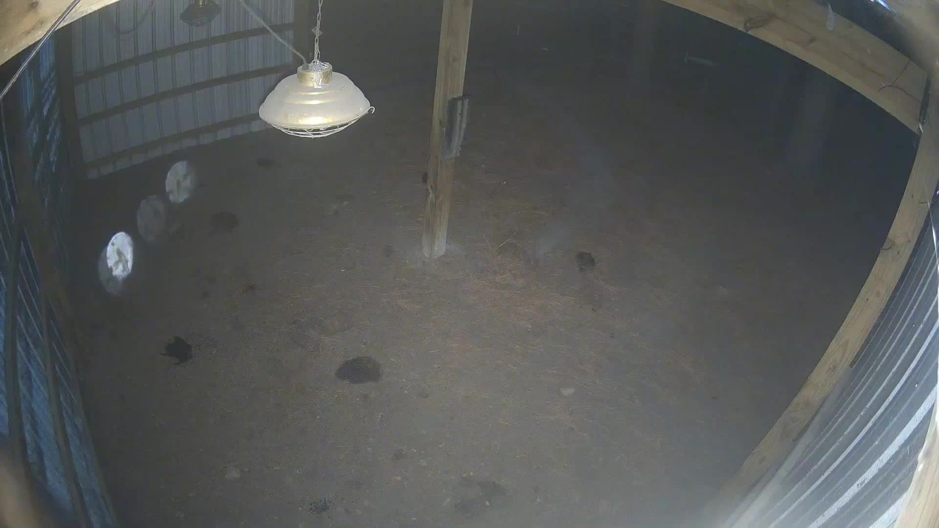 Empty barn under hanging lamp