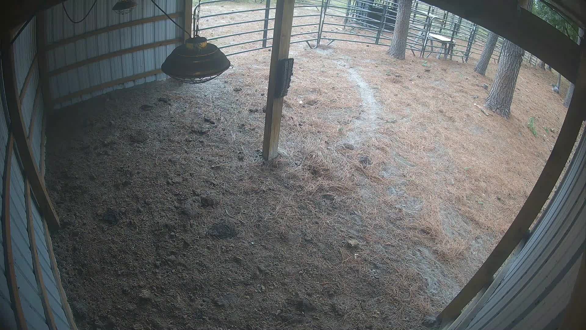 Empty barn under the lamp