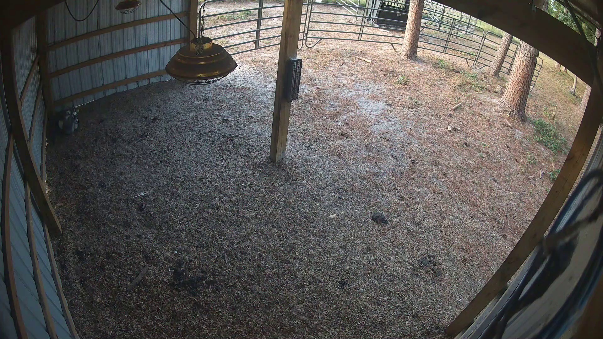 Active ranch moment 2