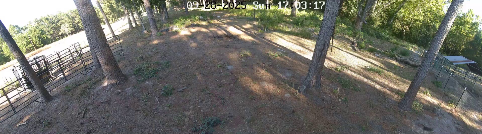 Active ranch moment 3