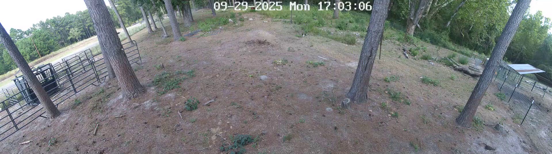 Active ranch moment 3