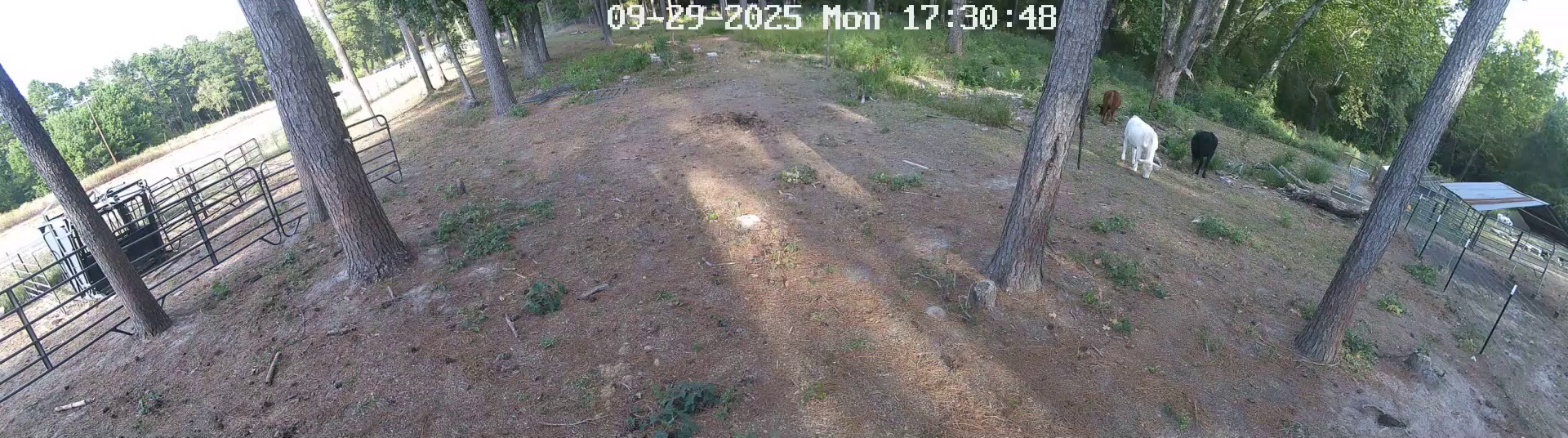 Active ranch moment 2