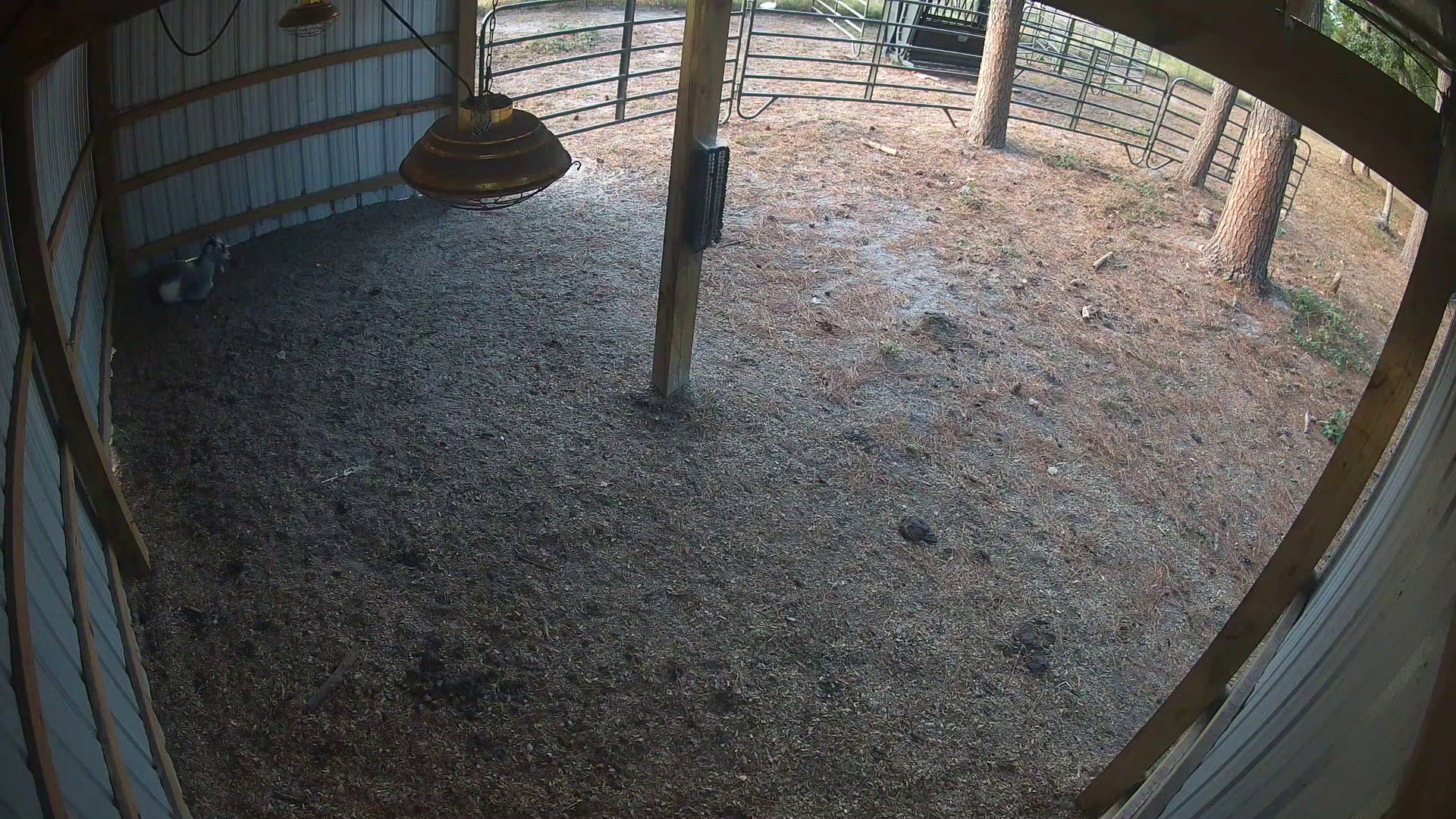 Active ranch moment 4