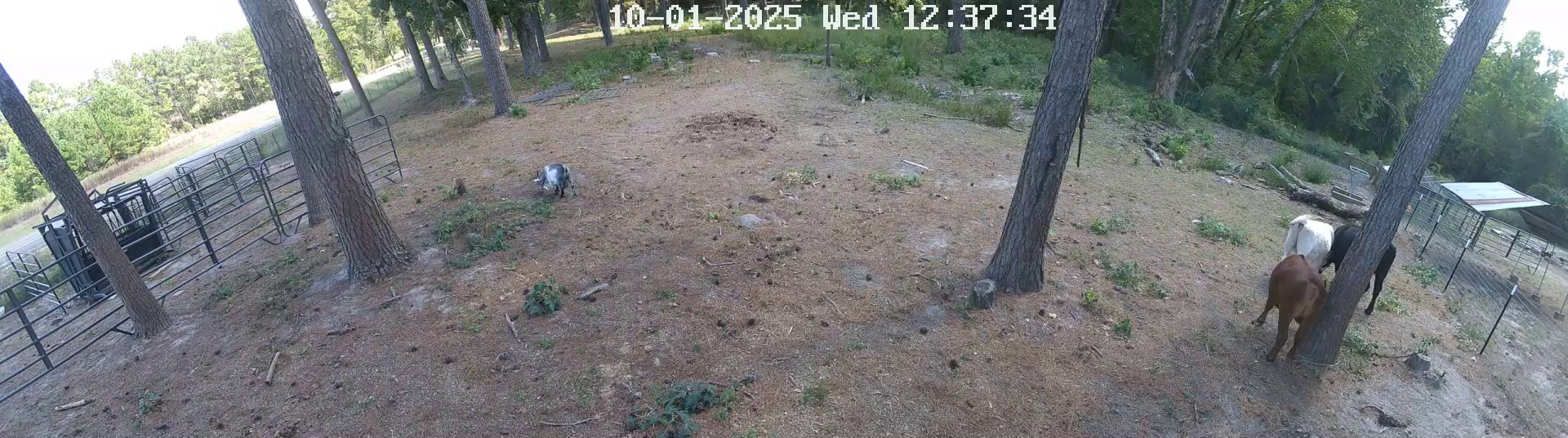 Active ranch moment 4