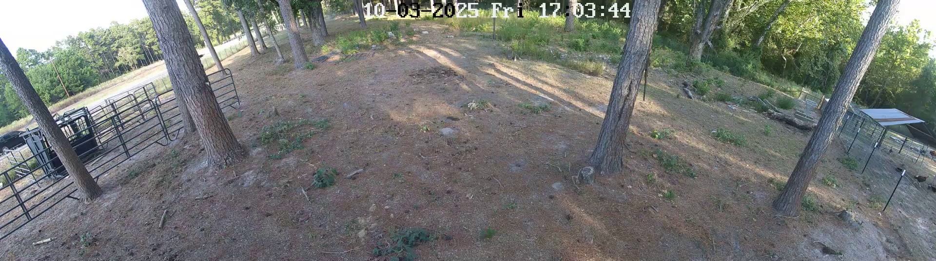 Active ranch moment 4