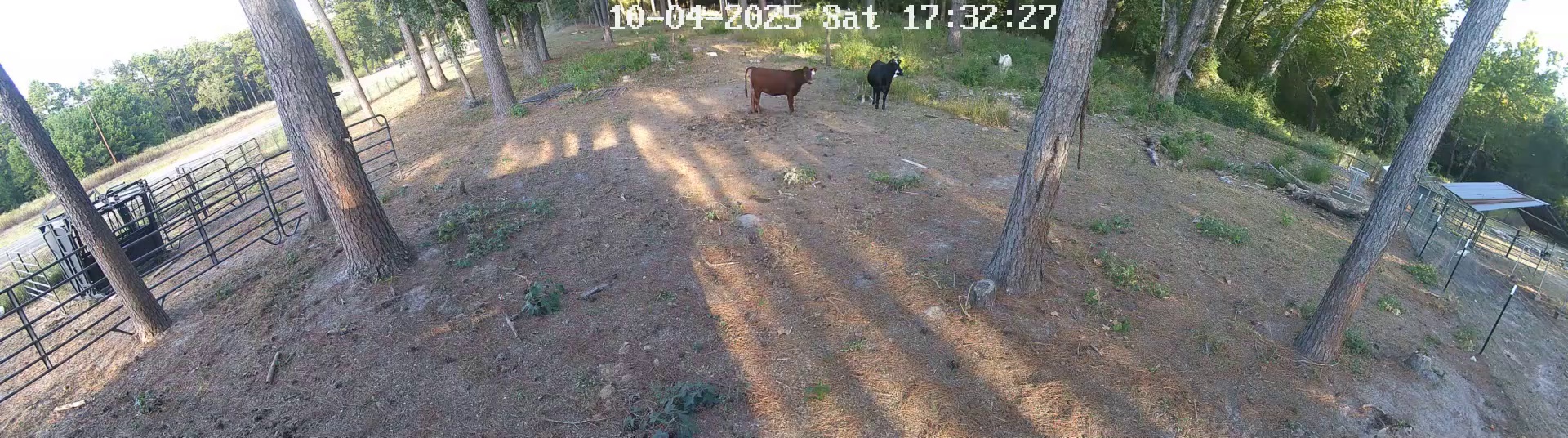 Active ranch moment 3