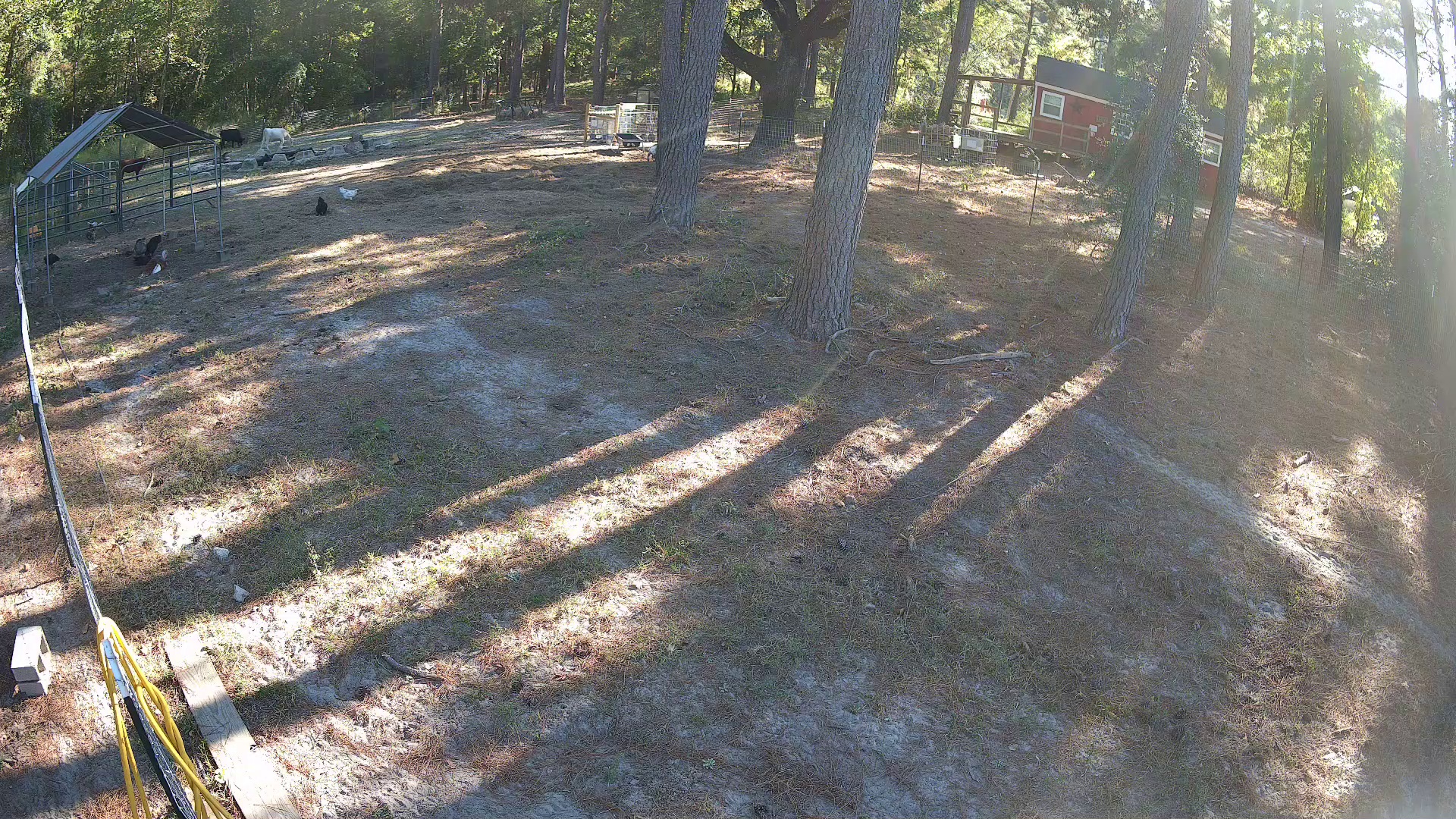 Active ranch moment 4