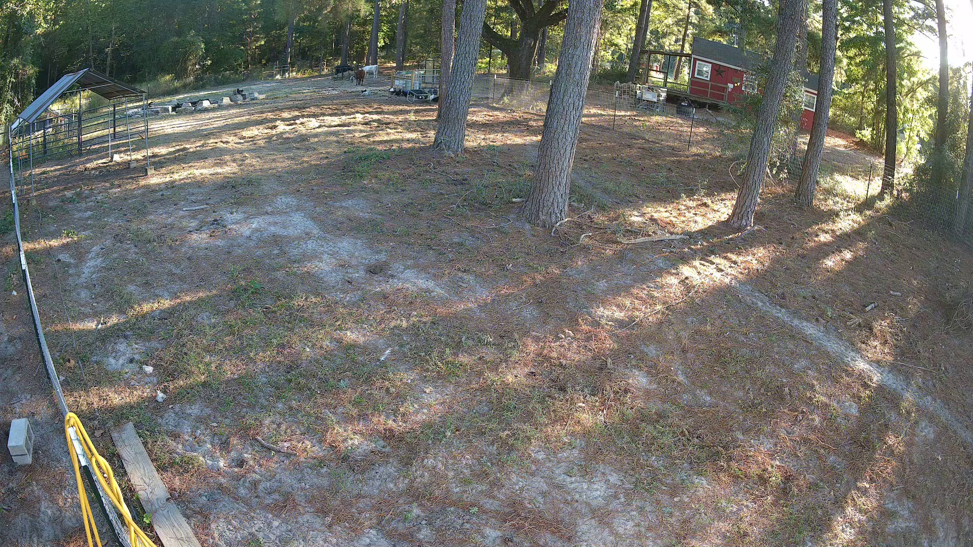 Active ranch moment 4