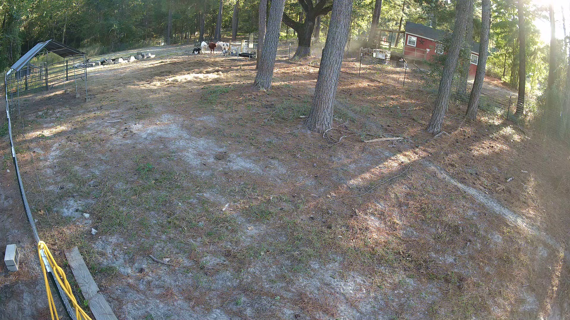 Active ranch moment 2