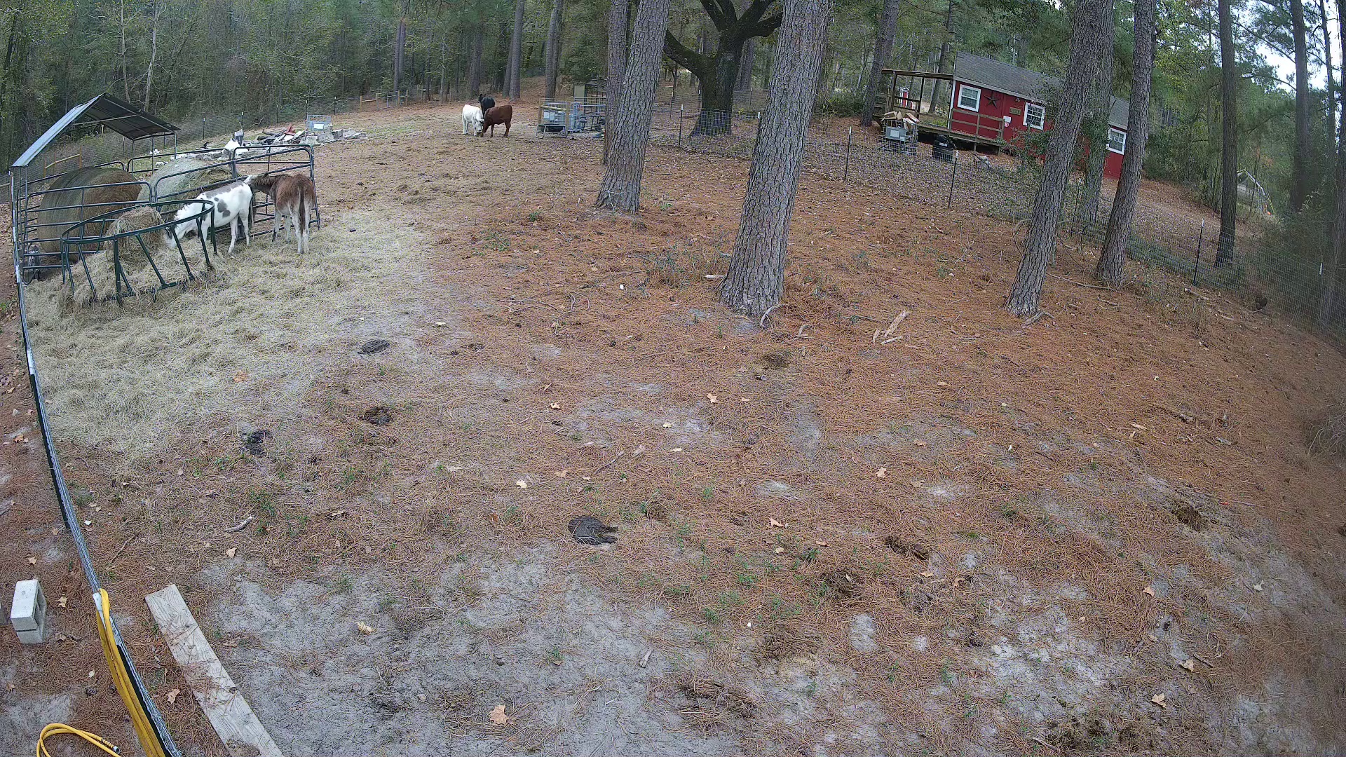 Active ranch moment 3