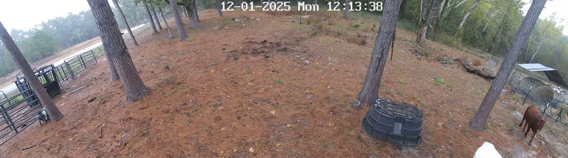 Active ranch moment 4