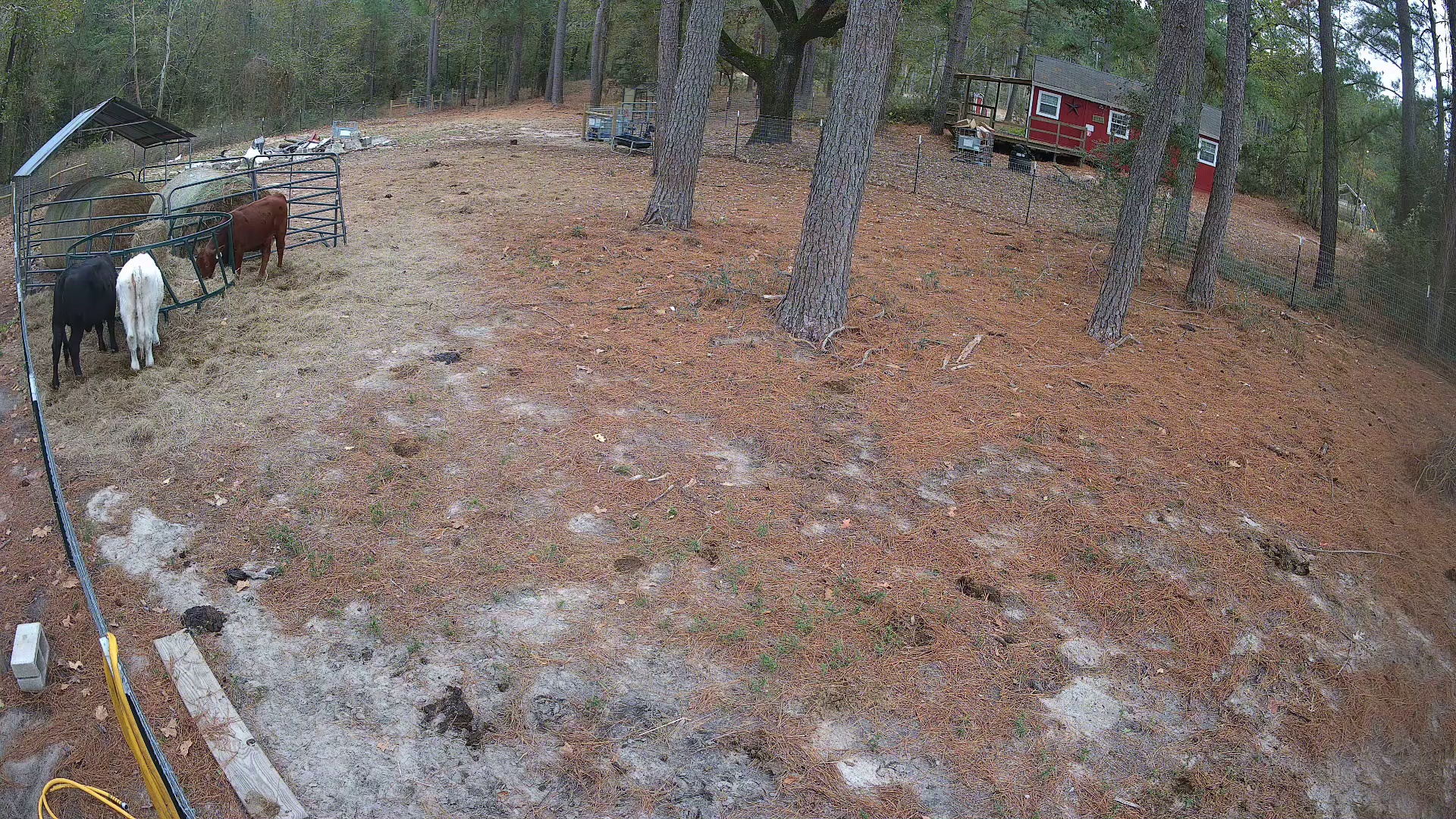 Active ranch moment 3