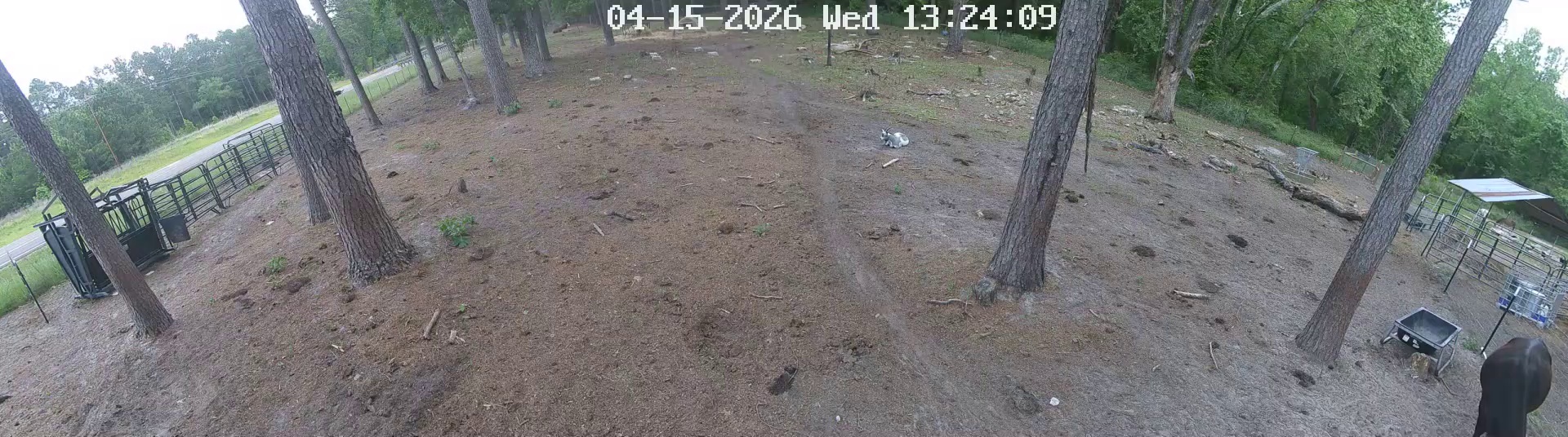 Active ranch moment 3