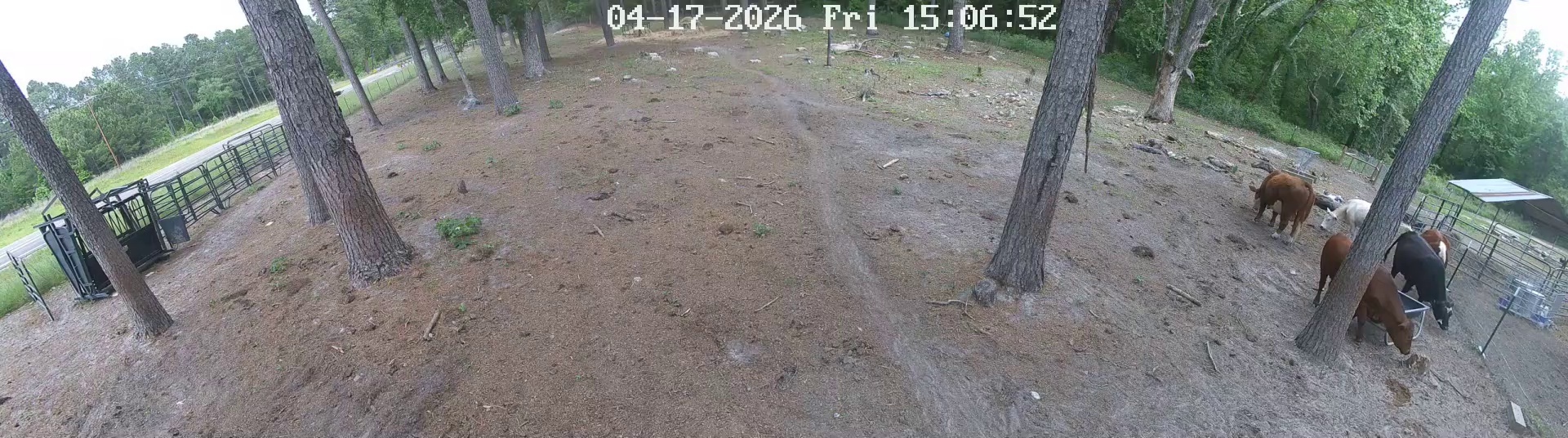 Active ranch moment 3